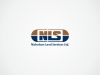 logo-design-nls